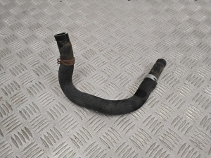   Hose  -  
