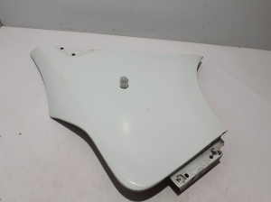 RENAULT Trafic III (2014–2022) Front fender 631014989R - 2