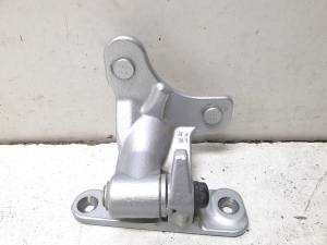 Rear side door lower hinge