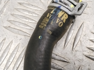 Polestar 2 II (2021–2026) Voolik 31686980 - 2