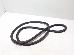 AUDI A5 (2016–2026) Front door rubber seal 8B3831721A - 3