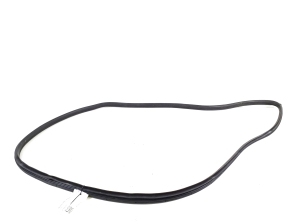 Hyundai IONIQ (2016–2026) Front door rubber seal 82120G2000 - 2