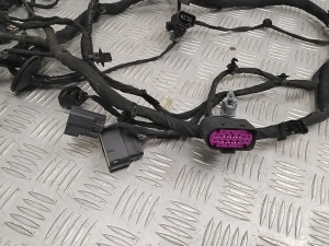 Polestar 2 II (2021–2026) Motorkabelbaum 31483071 - 2