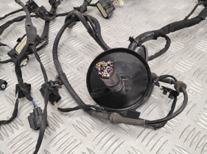Polestar 2 II (2021–2026) Motorkabelbaum 31483071 - 3