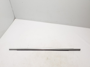   Fensterschachtleiste außen Tür hinten  - 31689100 