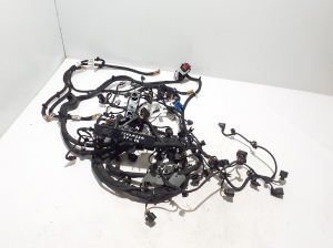   Engine wiring harness  - 971971061B 