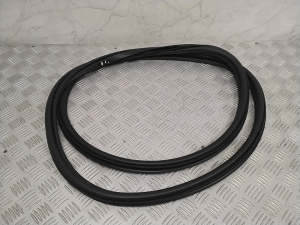   Front door rubber seal  - 31662569 