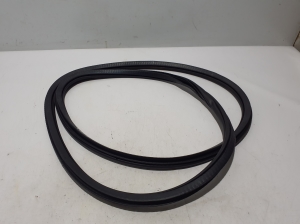 Front door rubber seal - 31689002