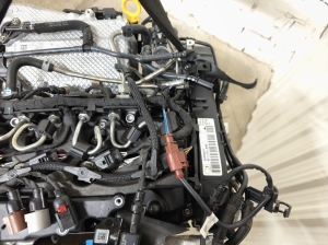 Volkswagen Golf VIII (2019–2026) Engine DXRC - 24