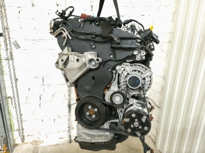 Volkswagen Golf VIII (2019–2026) Engine DXRC - 8
