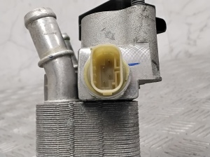 Polestar 2 II (2021–2026) Muu radiaator 31699051 - 3