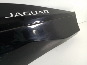 Jaguar l-Pace (2018–2026) Front door molding J9D321064AE - 2