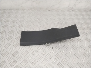 Einstiegsleistenverkleidung - LJ8BR13244AEW
