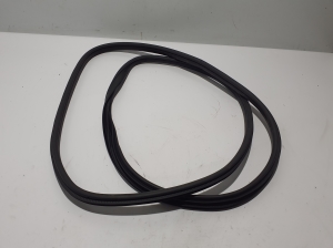   Front door rubber seal  - 769226RA0A 