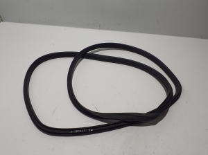   Rear side door seal on the door  - 769246RA0A 