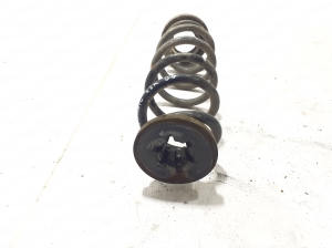 NISSAN X-Trail T33 (2021–2026) Rear spring 550206RR6B - 2