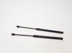   Hood prop/gas strut  - 298823359 