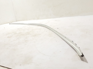 AUDI Q8 (2018–2026) Dachleiste 4M8853703 - 3