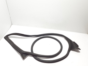 AUDI Q8 (2018–2026) Front door rubber seal 4M8831708 - 3