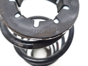 Opel Corsa F (2019–2026) Rear spring 9829870880 - 4