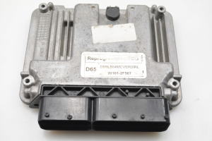 Engine control unit - 391012F567