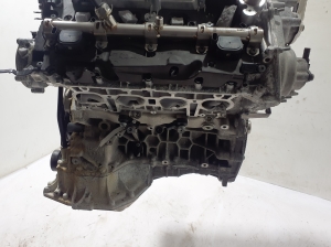 AUDI Q8 (2018–2026) Engine DWRB - 4