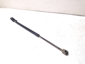 TOYOTA Corola Verso R1 (2004–2009) Heckklappendämpfer 689600F010 - 2