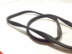 RENAULT Clio V (2019–2026) Front door rubber seal 808329581R - 2