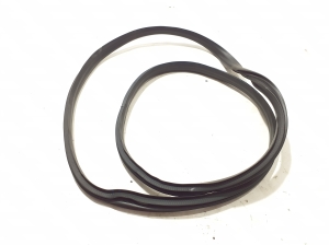 RENAULT Clio V (2019–2026) Front door rubber seal 808329581R - 2
