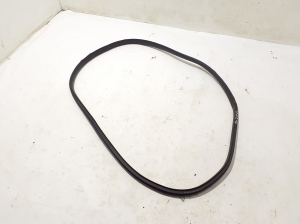   Rear side door seal on the door  - 769230344R 
