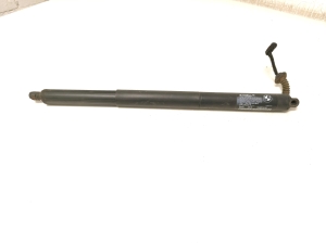   Trunk lid strut  - 7348523 