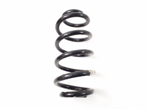 Rear spring