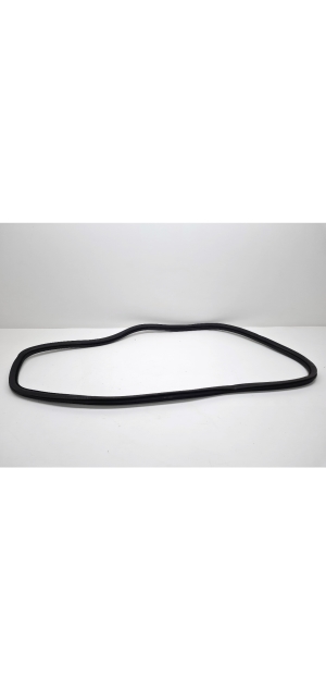   Rear side door seal on the door  - 9829331980 