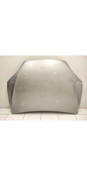 Hood - 1069531-E0-C