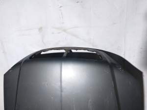 Hyundai Terracan (2004–2007) Motorhaube - 3