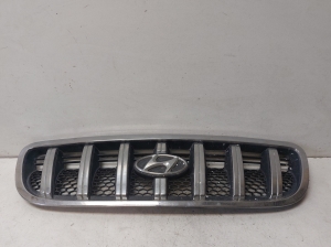 Hyundai Terracan (2004–2007) Kühlergrill - 5