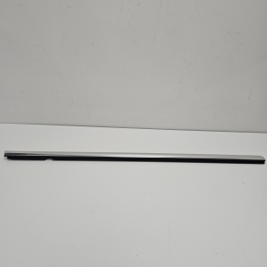 Front door molding - A295720300064