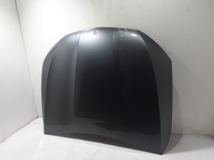Motorhaube - A24176003170