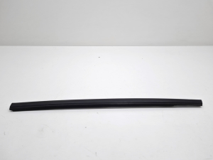   Rear side door outer window molding  - 9838916780 