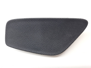   Front door panel trim  - 9830345380 