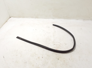 Joint de porte avant - 768613399R