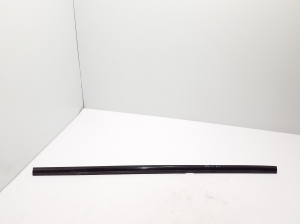   Rear side door outer window molding  - A2907302101 