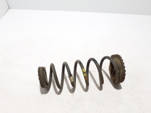 Rear spring - 51936535