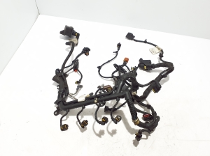 Engine wiring harness - 55243867