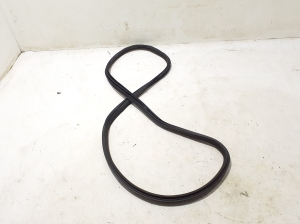   Front door rubber seal  - A2576922200 