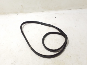   Rear side door seal on the door  - A2906970300 