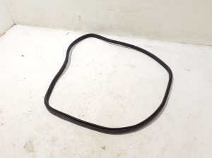   Rear side door seal on the door  - A2906970400 
