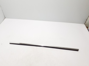   Rear side door outer window molding  - 8W8853764 