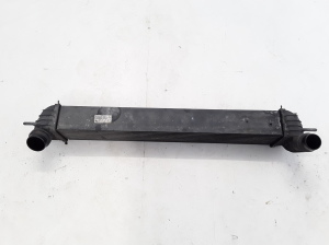 RENAULT Laguna III (2007–2015) Intercooler H9467002 - 4
