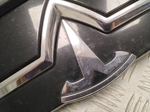 Tesla Model S S (2012–2026) Kühlergrill 101741500C - 2